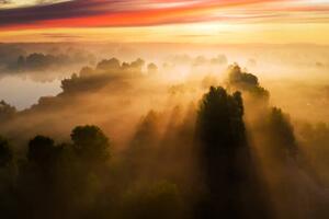 Fotografia Beautiful misty dawn in the spring, Anton Petrus