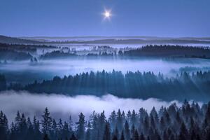 Fotografia Beautiful foggy forest Aulanko Hameenlinna Finland, Milamai