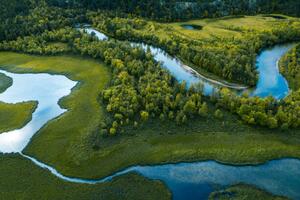 Fotografia Swamp river and trees seen from above, Baac3nes