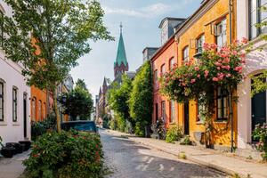 Fotografia Charming street with residential houses and, Alexander Spatari