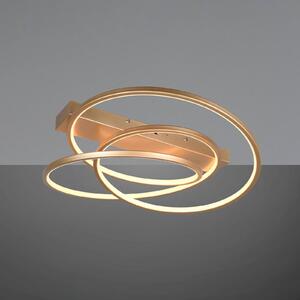 Trio Lighting Plafoniera Darvin LED, colore oro, metallo, plastica CCT