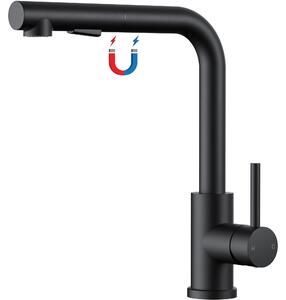Rubinetto da cucina con soffione estraibile magnetico, 2 getti