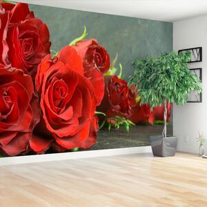 Carta da parati Rose rosse 104x70 cm