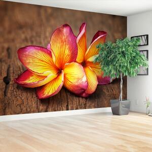 Carta da parati Plumeria Wood 104x70 cm