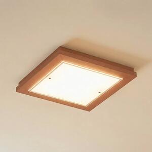 Plafoniera soffitto Tally Argon, Terracotta, Corridoio, Legno, Plafoniera
