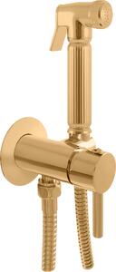 SEINA - Miscelatore per bidet a parete da incasso, Oro - spazzolato SE843/1ZK, RAV Slezák