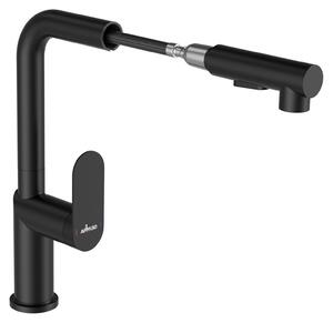 Rubinetto da cucina con tubo estensibile, 2 getti d'acqua, acciaio inossidabile