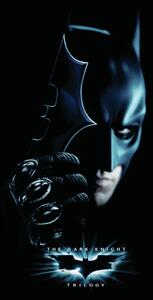 Stampa d'arte The Dark Knight Trilogy - Batman, (26.7 x 40 cm)