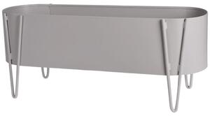 ProGarden Fioriera 58x20x32 cm Grigio Chiaro Opaco