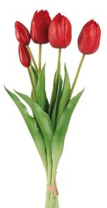 Tulipani rossi