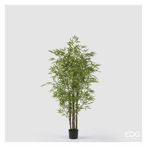 EDG - Enzo De Gasperi pianta di Bamboo Con Vaso H.150