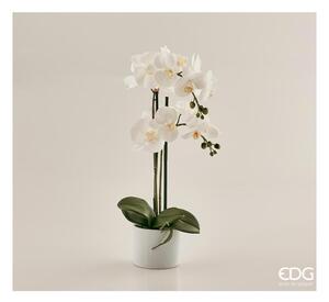 EDG - Enzo De Gasperi Pianta artificiale con vaso Orchidea h 55