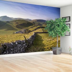 Carta da parati Hill Chrome 104x70 cm