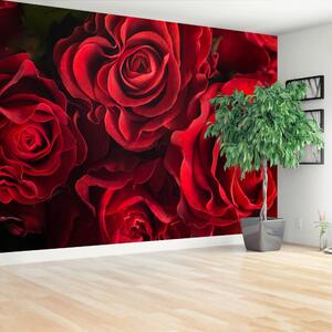 Carta da parati Rose rosse 104x70 cm