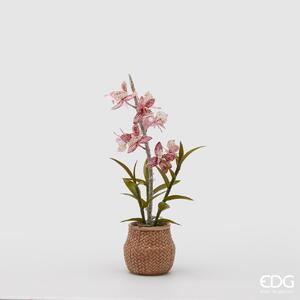 EDG orchidea dendrobium artificiale con vaso cesto h 47