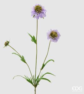 EDG - Enzo De Gasperi scabiosa rex ramo h 65 colore lavanda