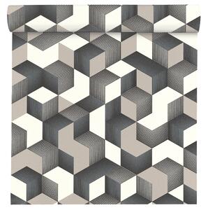 Carta da parati Cubo 3D argento, 53 cm x 10.05 m