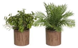 Piante artificiali in set da 2 (altezza 22 cm) - Casa Selección