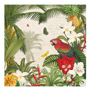 Salvadori Arte tela stile tropicale dipinta a mano "Parrot paradise II" mis 50 x 50