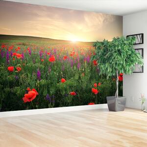 Carta da parati Maki Meadow 104x70 cm