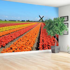 Carta da parati TULIP FINTMILL 104x70 cm