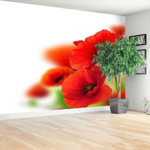 Carta da parati Poppies bianchi 104x70 cm