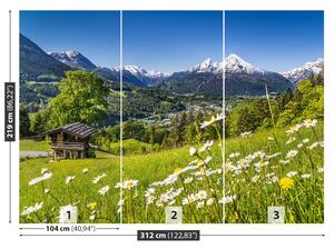 Carta da parati Montagne della Baviera 104x70 cm