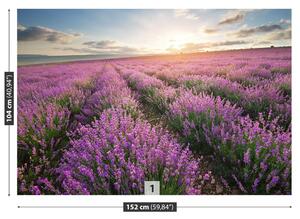 Carta da parati Lavender Meadow 104x70 cm