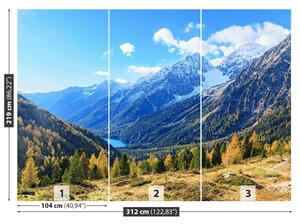 Carta da parati Alpi della montagna 104x70 cm