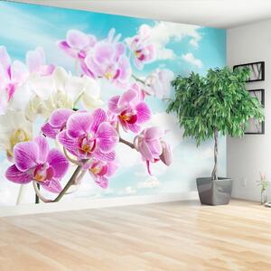 Carta da parati Orchidee blu 104x70 cm