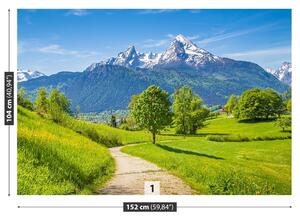 Carta da parati Alpi estive 104x70 cm