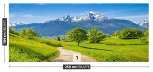 Carta da parati Alpi estive 104x70 cm