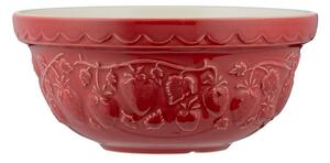 Ciotola rossa in gres ø 21 cm Fruits Strawberry – Mason Cash