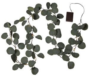 Star Trading Mini catena luminosa a LED Eucalipto