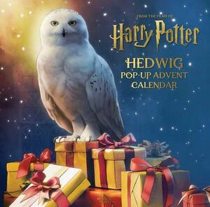 Harry Potter: Calendario dell'Avvento Edvige Pop-Up