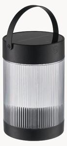 Lampada da tavolo solare portatile a LED con luce regolabile Coupar