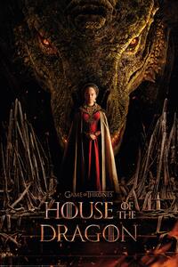 Posters, Stampe House of the Dragon