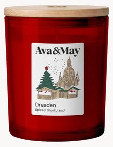 Candela profumata Dresden (vaniglia, cardamomo & mandorla)