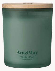 Candela profumata Winter Pine (pino, cedro & eucalipto)