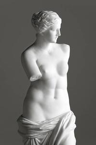 Fotografia artistica Venus de Milo on grey, 221A, (26.7 x 40 cm)