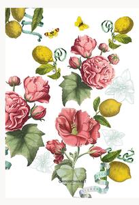 Set di 4 strofinacci in lino e cotone Citrons De Menton Romance