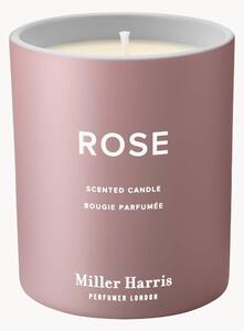 Candela profumata Rose (assoluta di rosa turca, mirtillo nero, muschio cashmere)