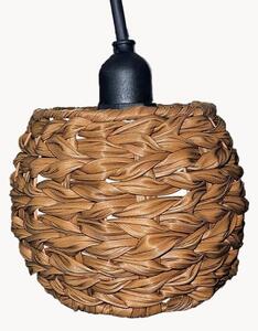 Lampada solare Pine Light