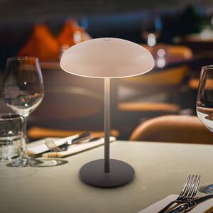 Briloner Lampada LED da tavolo ricaricabile Brilo unplugged Caxa, beige/antracite dimmerabile, Nero, Metallo
