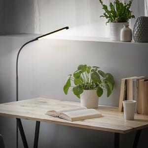 Briloner Lampada da terra a LED Mura, dimmerabile, Nero, Soggiorno / Sala da pranzo, Plastica, Moderno, Lampada LED da terra