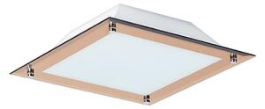 Rabalux 3045 - Plafoniera LED LARS 1xLED/12W/230V