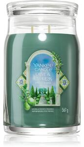 Yankee Candle Olive & Cypress candela profumata 567 g