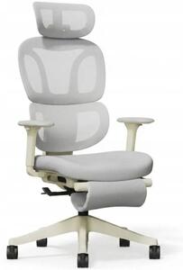 Sedia da ufficio ergonomica con poggiapiedi BS5WG-F2, poggiatesta 2D, grigia - N