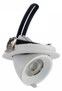 Faro LED da Incasso 15W Orientabile foro Ø100mm con driver Philips Colore Bianco Naturale 4.000K