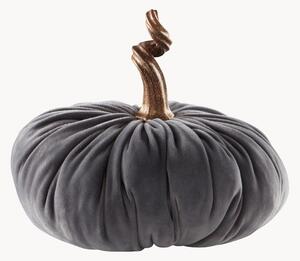 Zucca decorativa Pumpis, Ø 22 cm